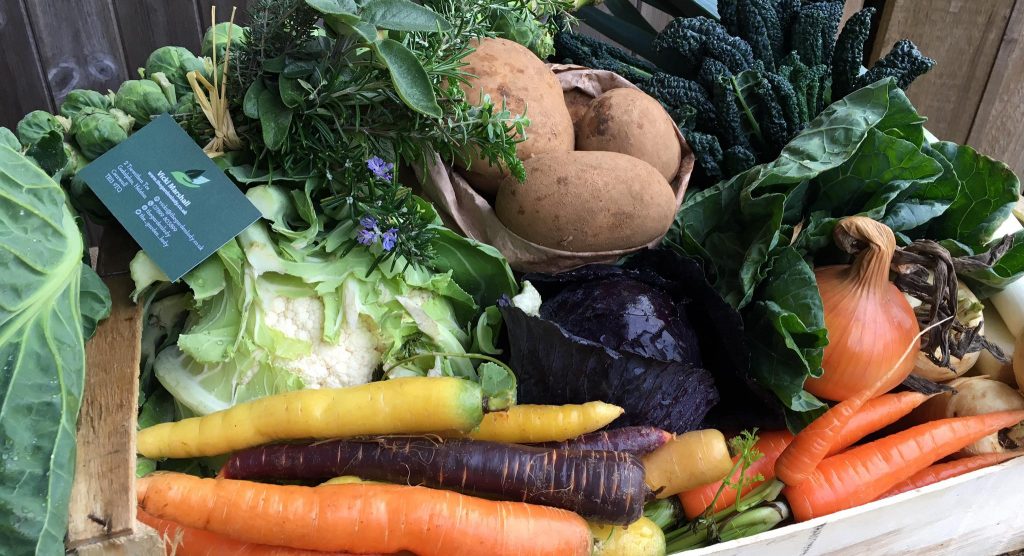 Helston Farmers Market Garden Lady Veg Box